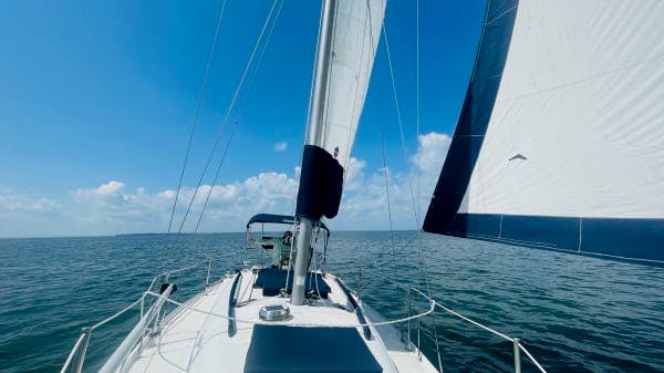 photo from album sailing